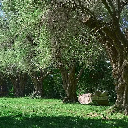 Villa Bastide Les Cigales *